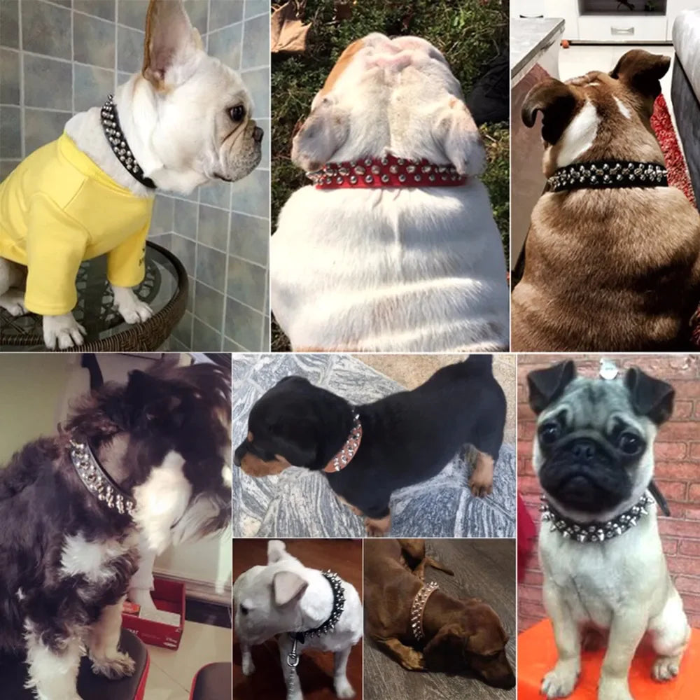 Spiked Studded Leather Dog Collar – Adjustable for Small & Large Pets