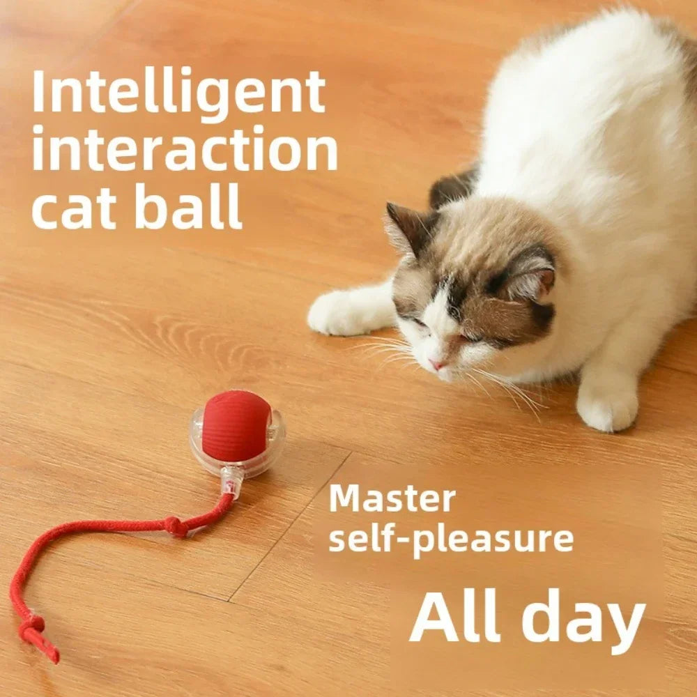 Rechargeable Smart Rolling Ball – Interactive Cat & Dog Toy