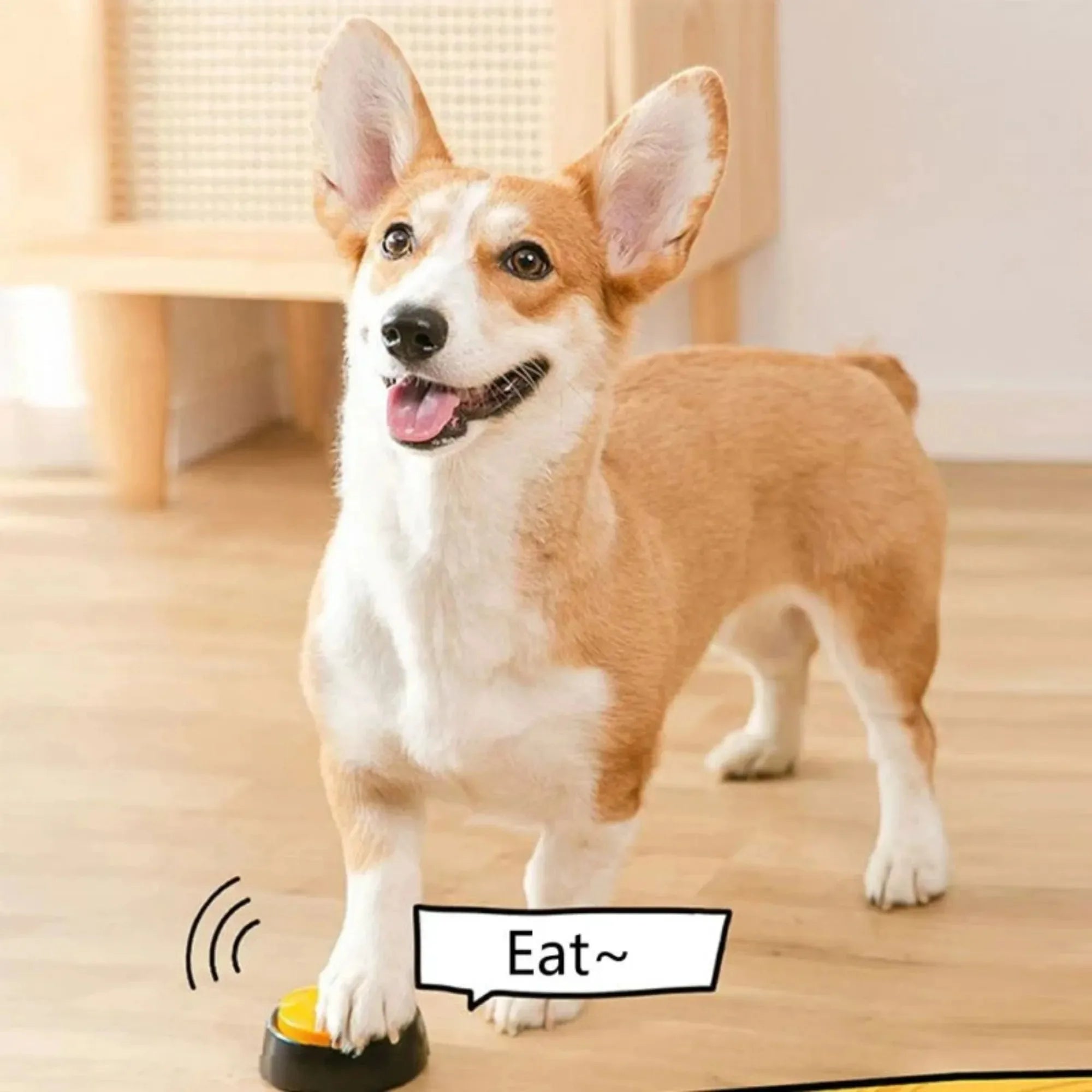 Dog Communication Buttons – Voice Recording & Playback Trainer
