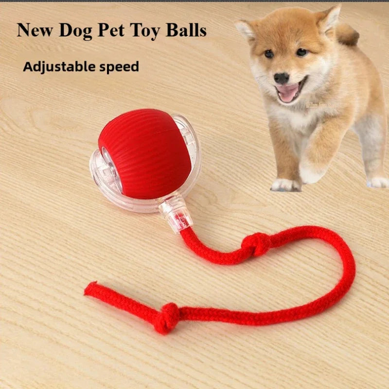 Rechargeable Smart Rolling Ball – Interactive Cat & Dog Toy