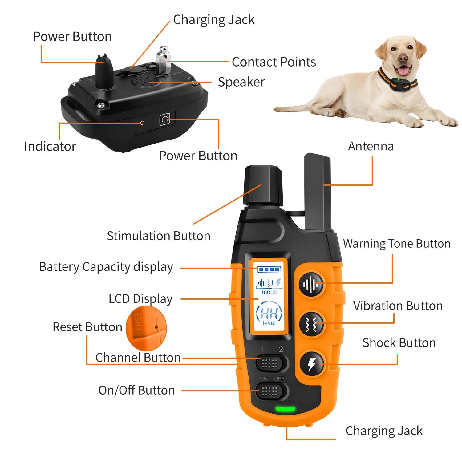 3300FT Electric Dog Training Collar – Waterproof Shock & Vibration Trainer