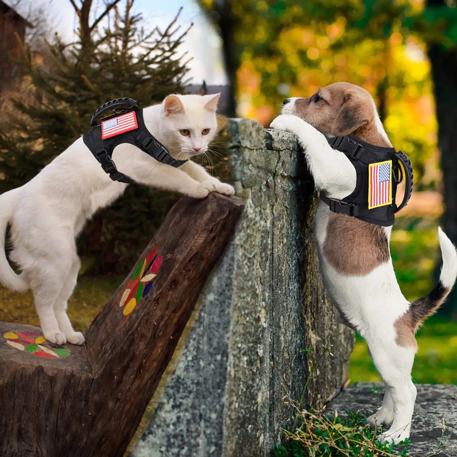 Tactical Harness & Leash Set for Pets