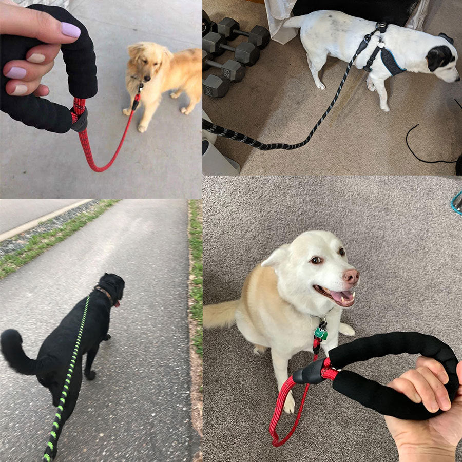 Retractable Pet Luminous Leash