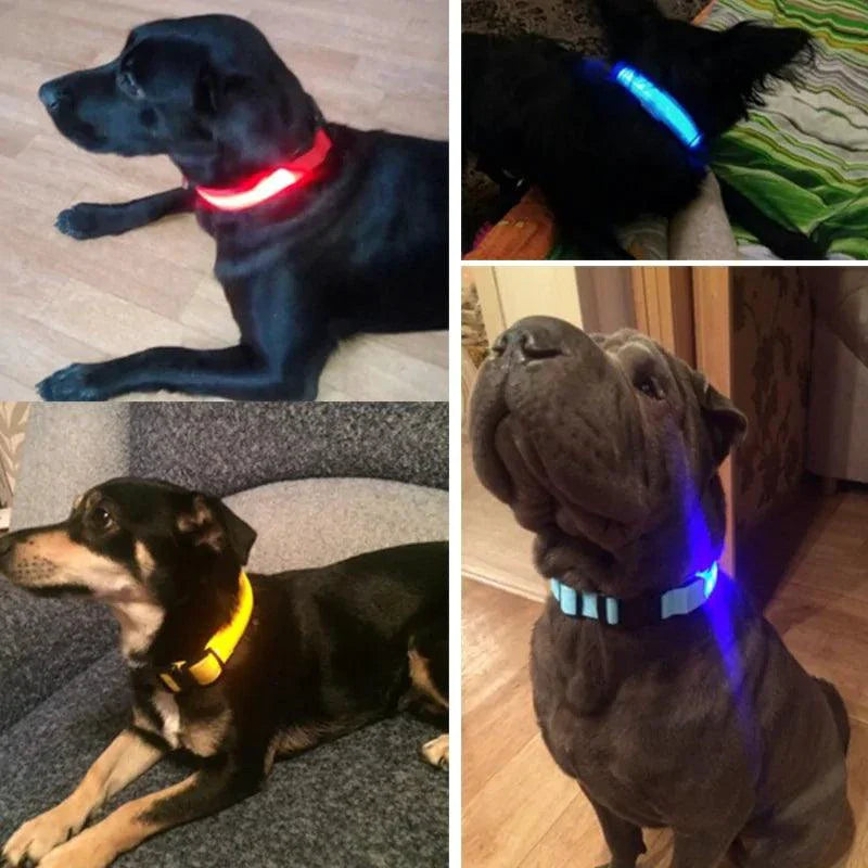 Glowing Night Safety Pet Collar – LED Visibility for Dogs & Cats