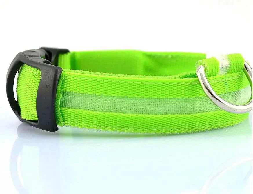 Glowing Night Safety Pet Collar – LED Visibility for Dogs & Cats