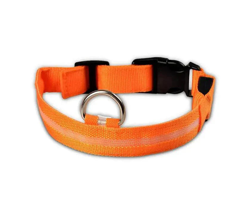 Glowing Night Safety Pet Collar – LED Visibility for Dogs & Cats