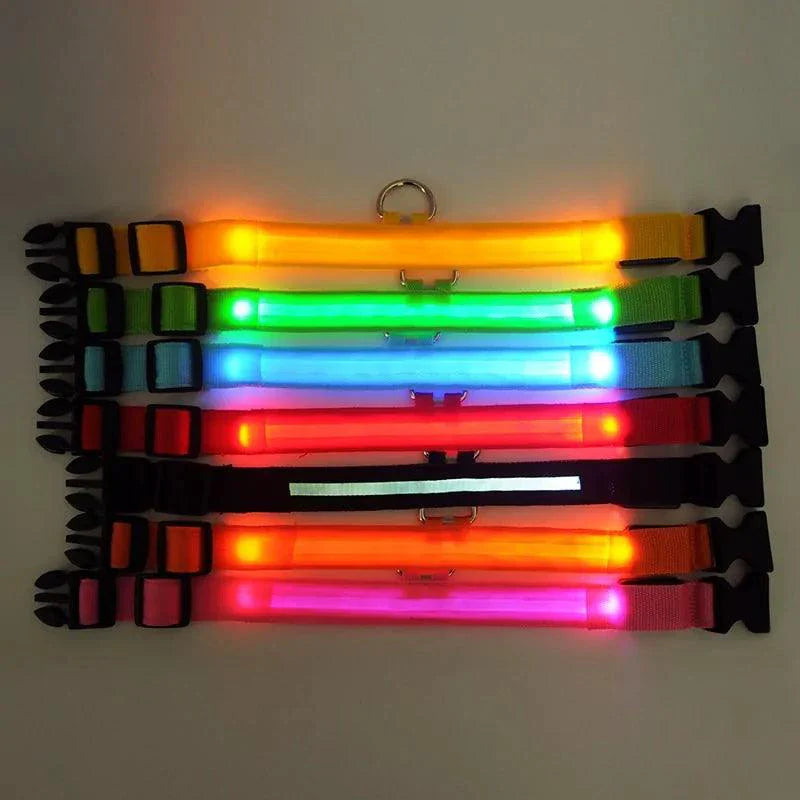 Glowing Night Safety Pet Collar – LED Visibility for Dogs & Cats