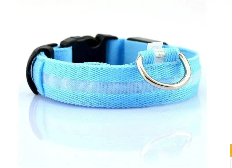 Glowing Night Safety Pet Collar – LED Visibility for Dogs & Cats