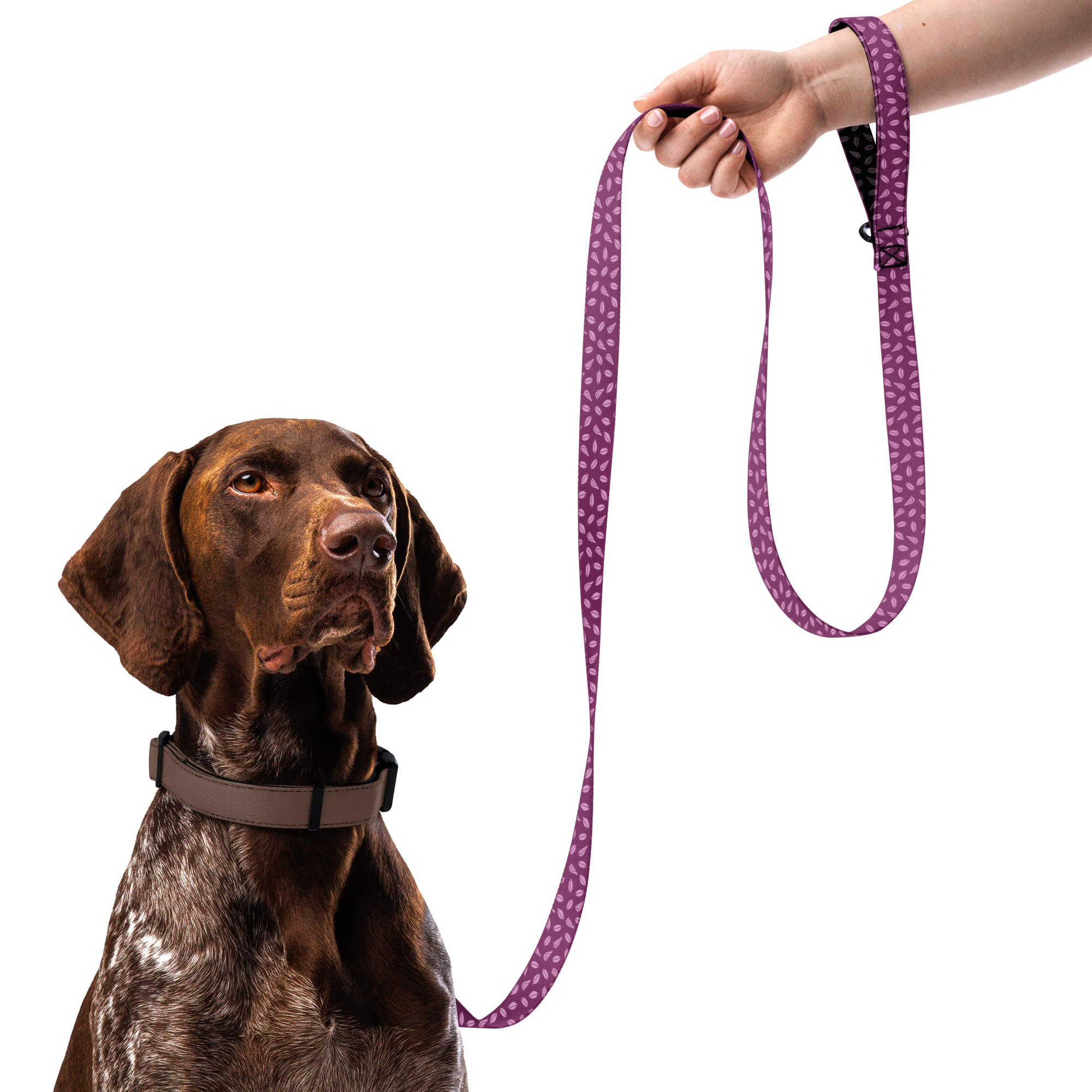 Patterned Pet Leash