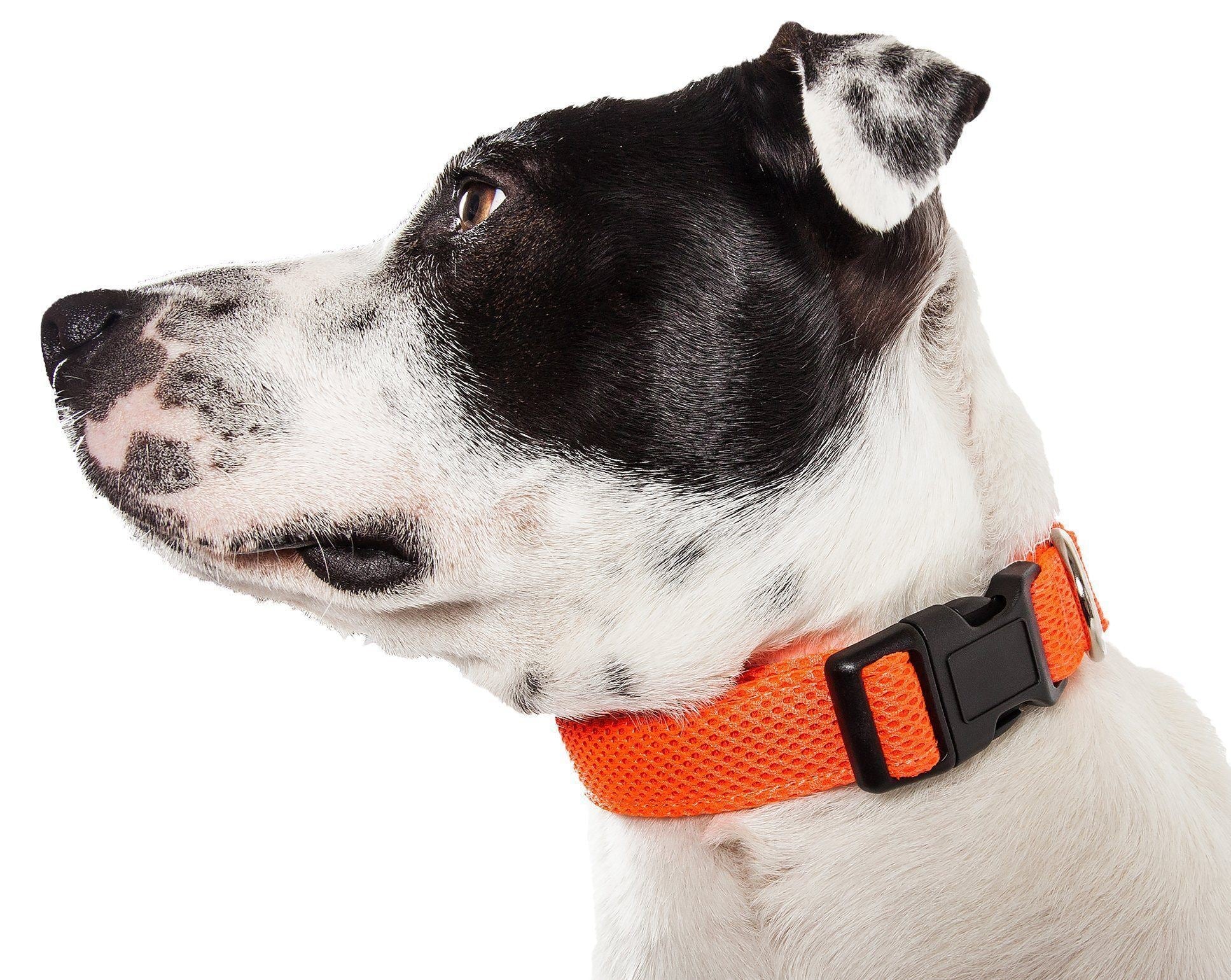 Aero Mesh Dog Collar – Dual-Sided Breathable & Adjustable