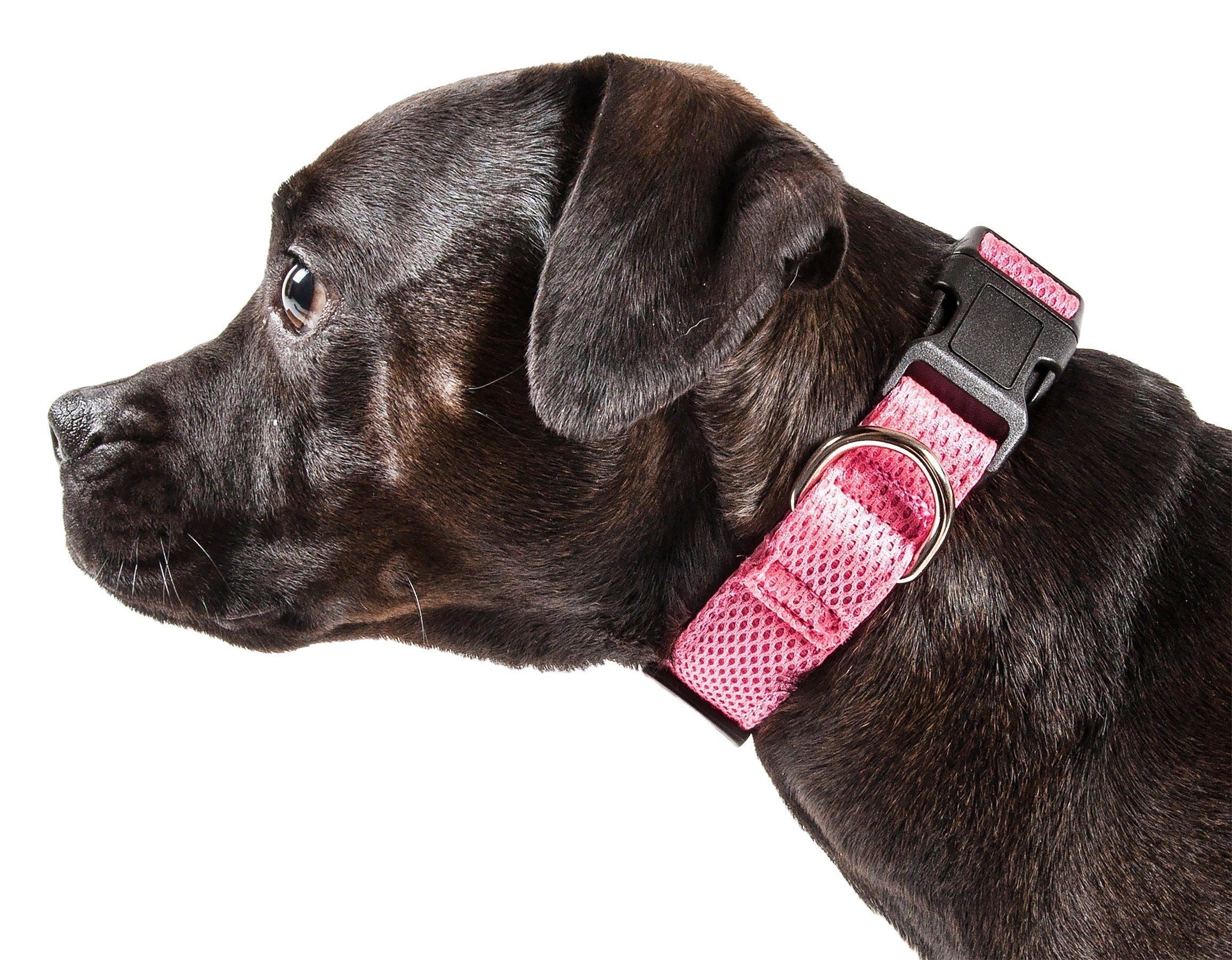 Aero Mesh Dog Collar – Dual-Sided Breathable & Adjustable