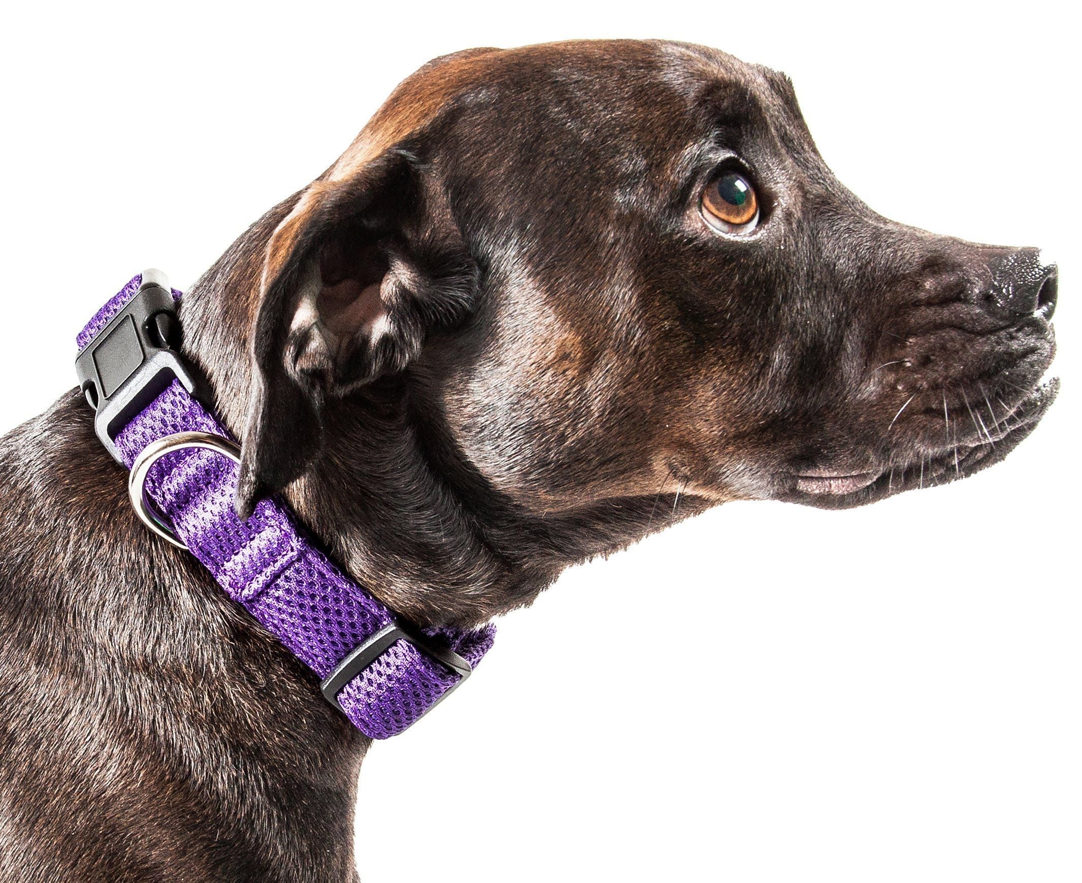 Aero Mesh Dog Collar – Dual-Sided Breathable & Adjustable