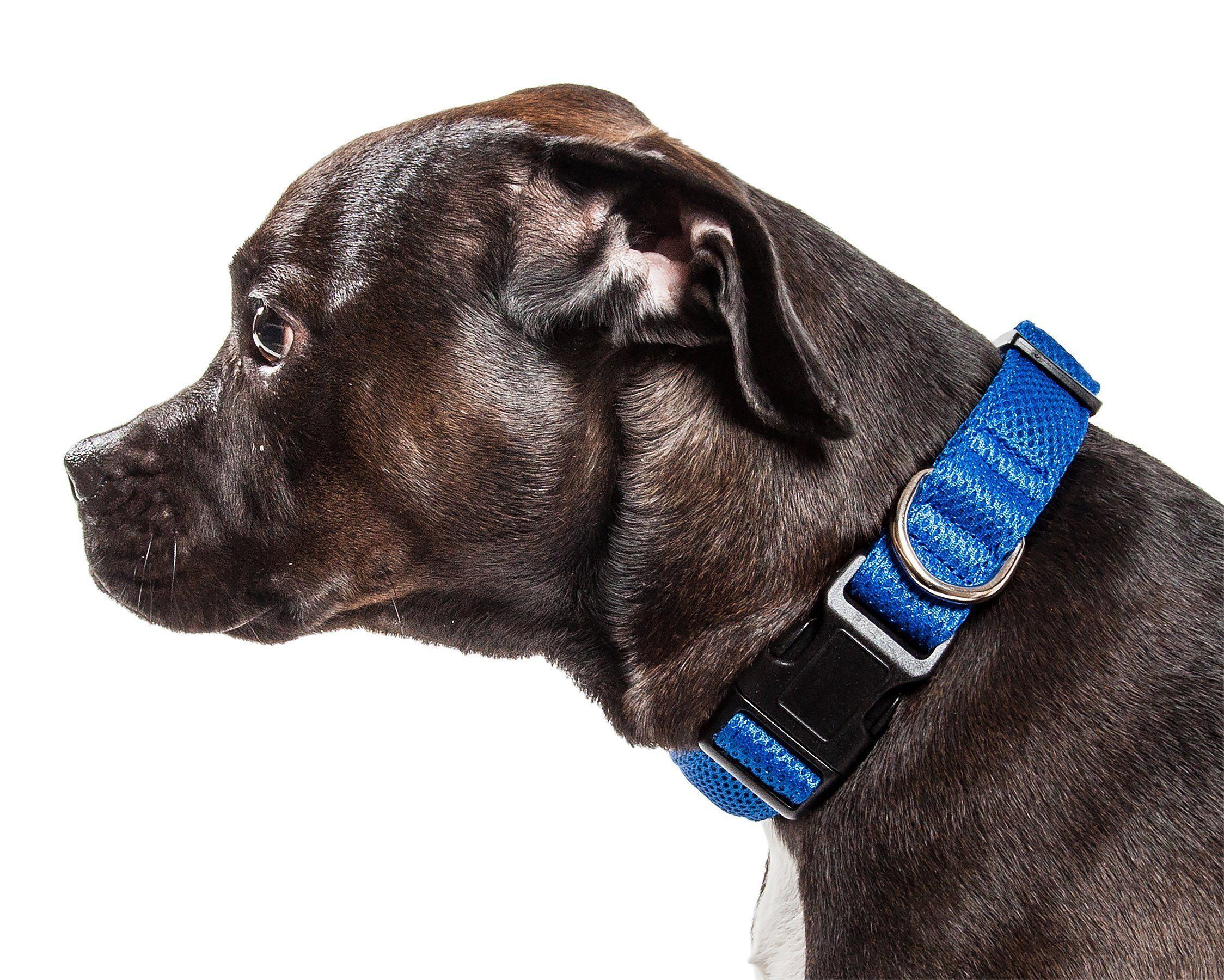 Aero Mesh Dog Collar – Dual-Sided Breathable & Adjustable