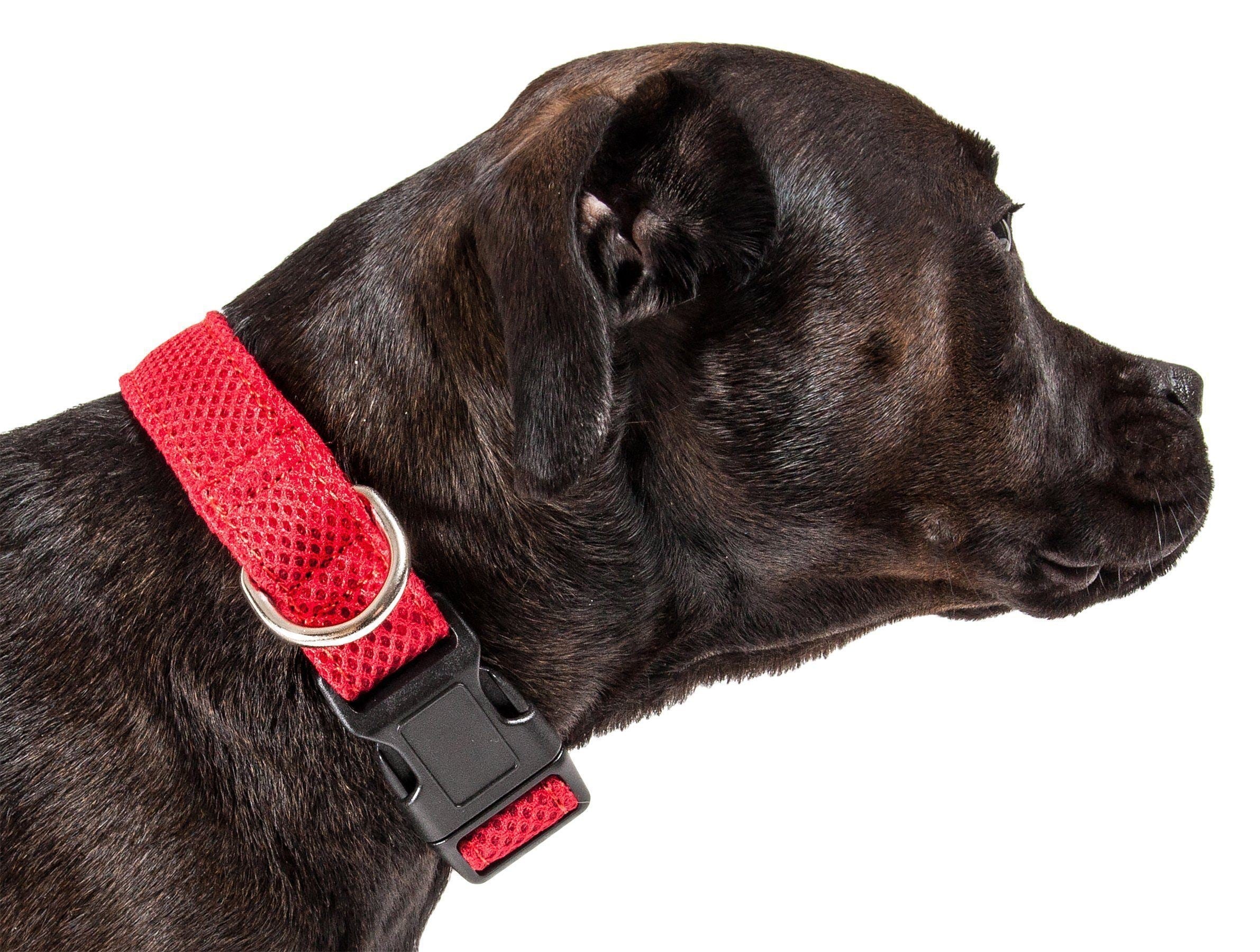 Aero Mesh Dog Collar – Dual-Sided Breathable & Adjustable