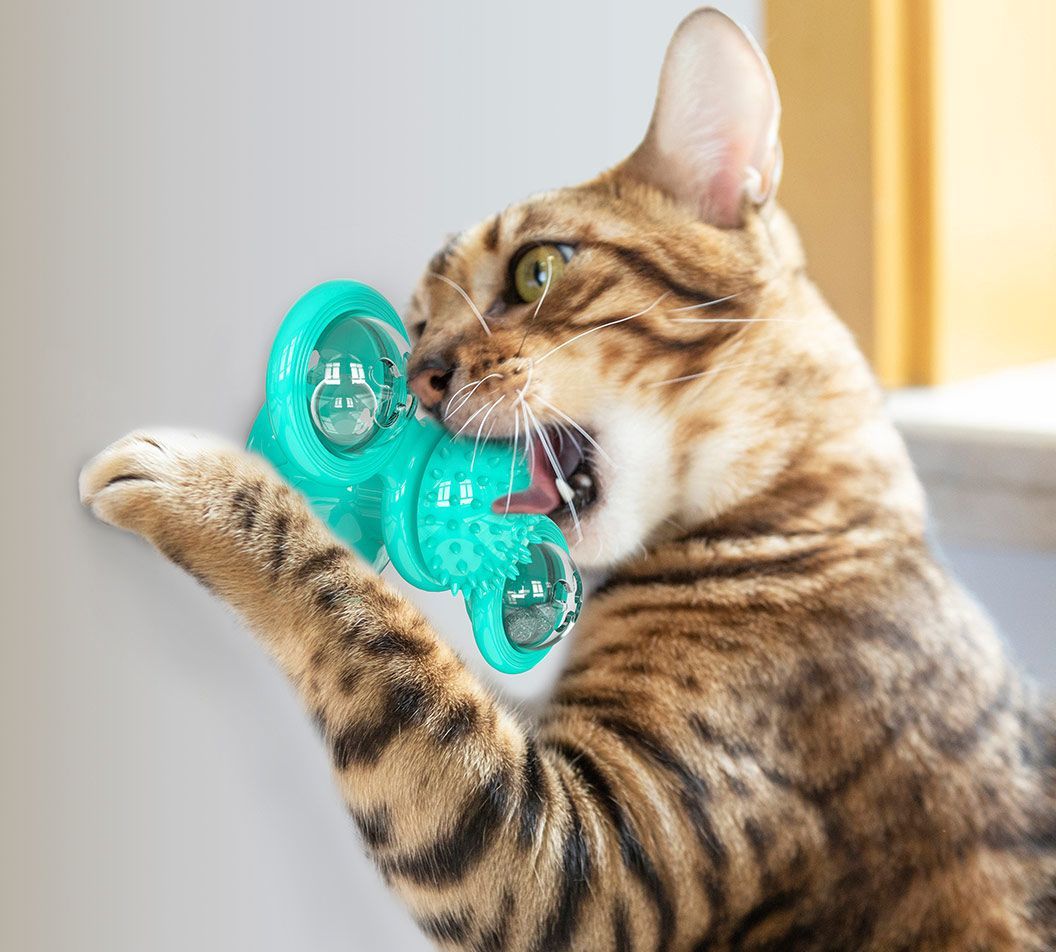 Windmill Rotating Suction Cup – Spinning Cat Toy
