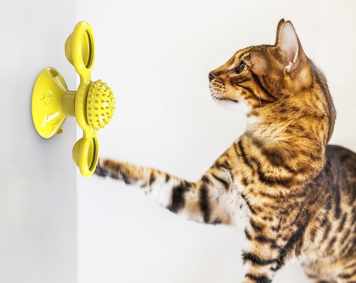 Windmill Rotating Suction Cup – Spinning Cat Toy