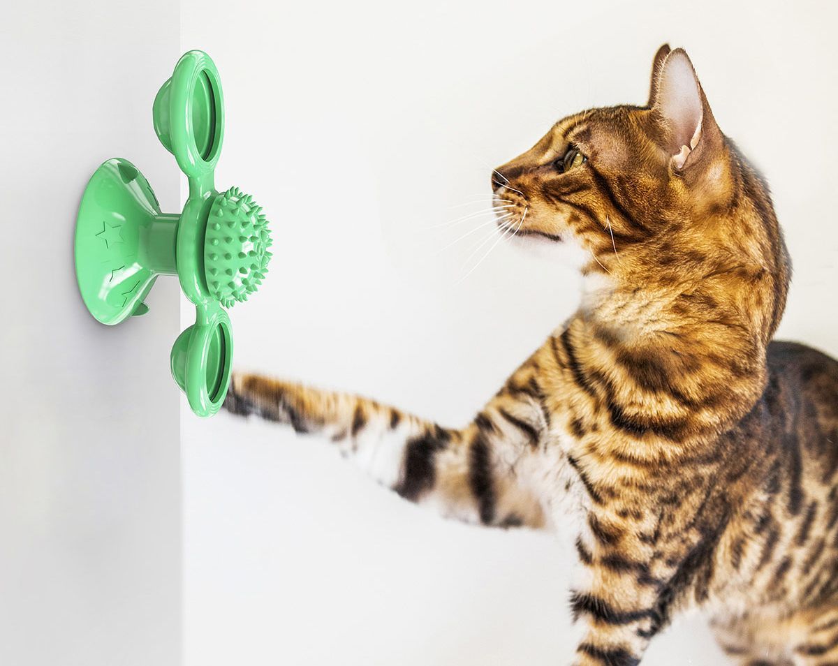 Windmill Rotating Suction Cup – Spinning Cat Toy